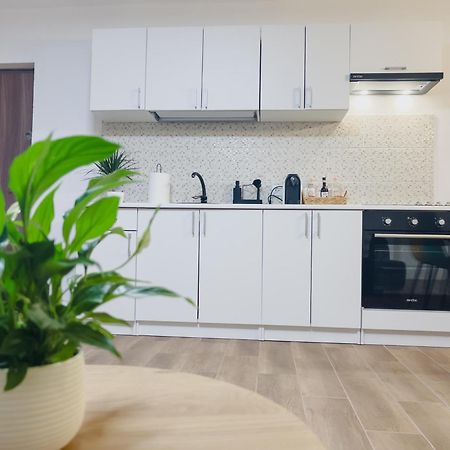 Subcetate Apartment Sighisoara Bagian luar foto